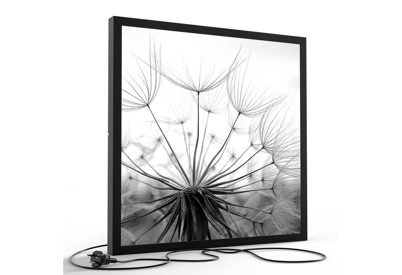 DEQORI LED-Bild 'Pusteblume Nahaufnahme', (1 St), LED Lampe Leuchte Leuchtbild Bild beleuchtet Deckenleuchte Wandlampe von DEQORI