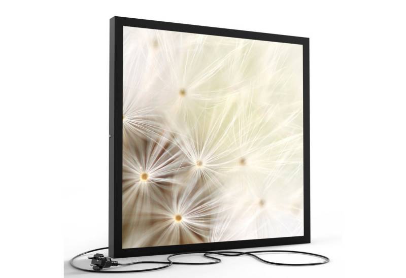 DEQORI LED-Bild 'Pusteblume ganz nah', (1 St), LED Lampe Leuchte Leuchtbild Bild beleuchtet Deckenleuchte Wandlampe von DEQORI