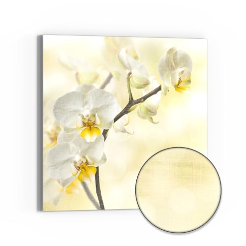 DEQORI Leinwandbild Hybrid | Motiv Orchideenzauber | Design Canvas 30x30 cm | Leinwand Bild flach & modern mit Glas | Wandbild für Wohnzimmer, Schlafzimmer, Flur & Küche von DEQORI