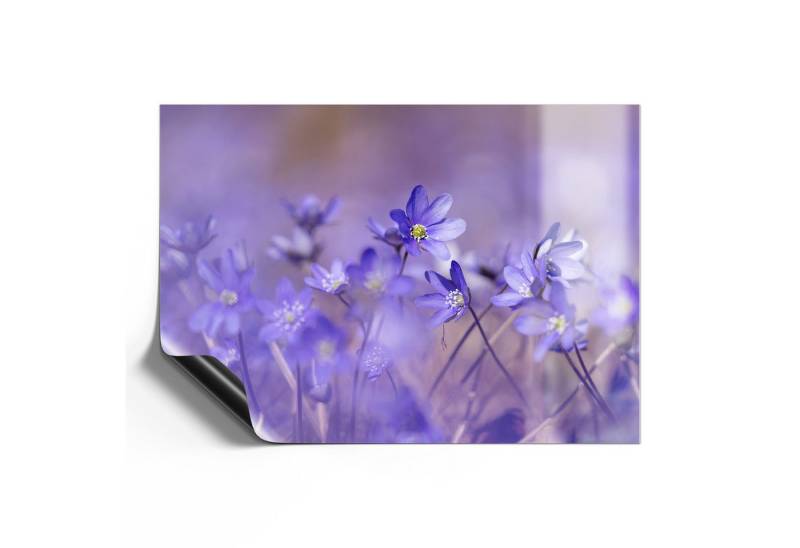 DEQORI Magnetfolie 'Blaue Traumblüten', beschreibbar universal Magnetmatte magnetisch Folie Planer Kalender von DEQORI
