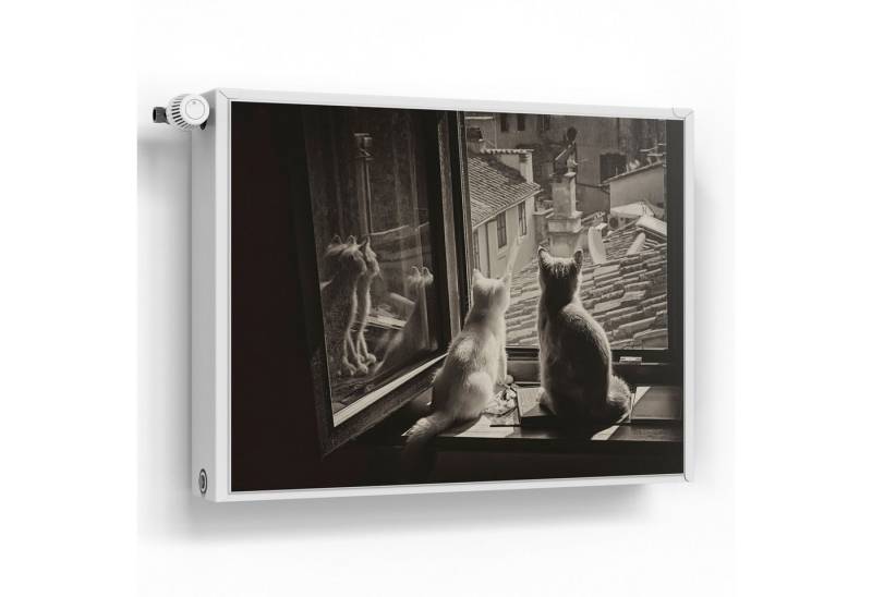 DEQORI Magnetfolie 'Katzen auf Fensterbrett', beschreibbar Heizung Magnetmatte magnetisch Magnetfolie von DEQORI