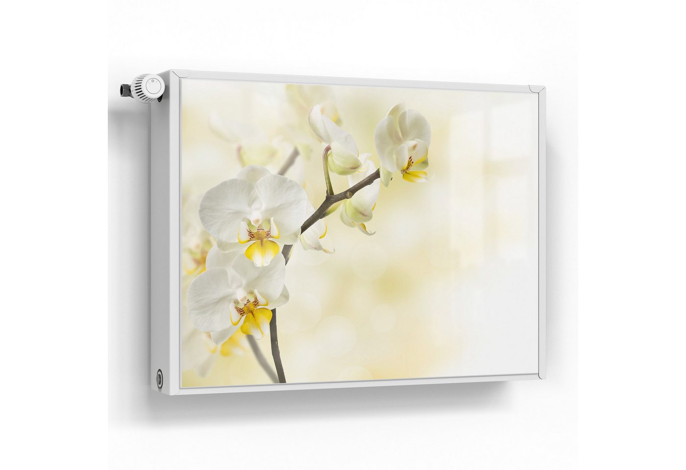 DEQORI Magnetfolie 'Orchideenzauber', Heizung Magnetmatte magnetisch Magnetfolie Folie Schutz DEQORI Magnetfolie 'Orchideenzauber', Heizung Magnetmatte magnetisch Magnetfolie Folie Schutz von DEQORI