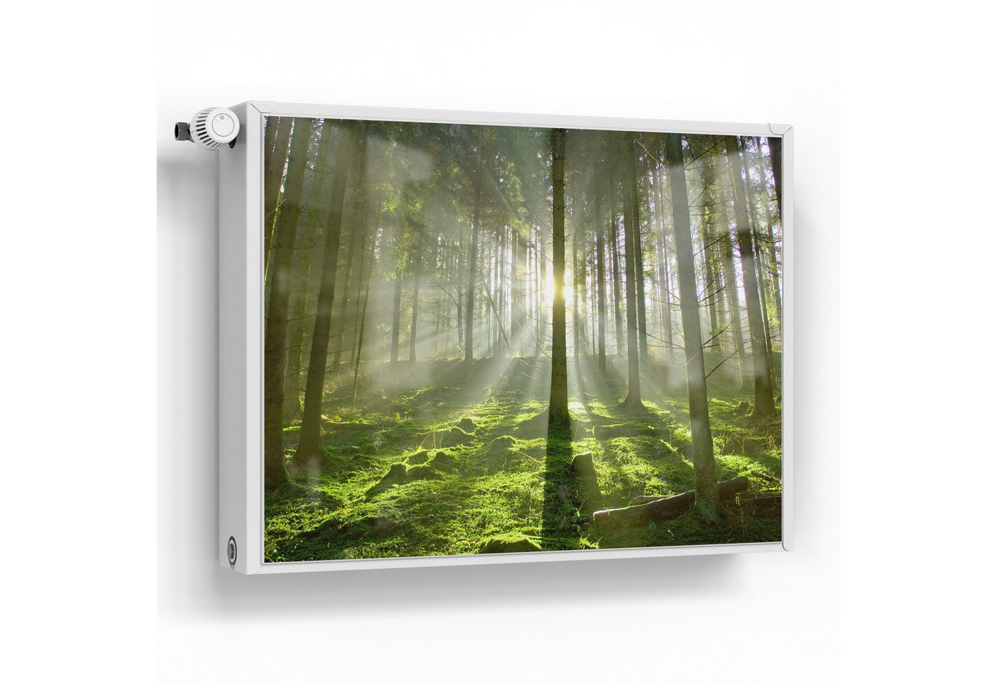DEQORI Magnetfolie 'Waldlichtspiele', Heizung Magnetmatte magnetisch Magnetfolie Folie Schutz DEQORI Magnetfolie 'Waldlichtspiele', Heizung Magnetmatte magnetisch Magnetfolie Folie Schutz von DEQORI