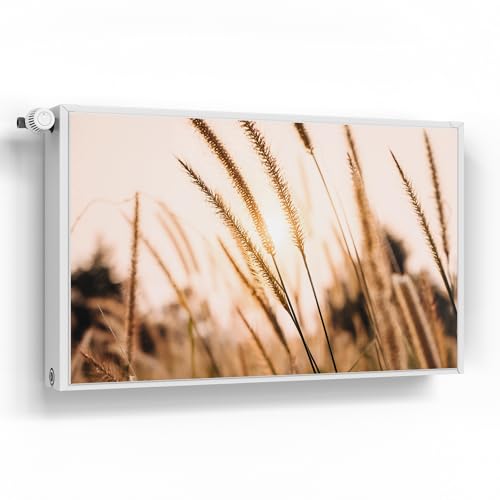 DEQORI Magnetfolie für Heizung 100x60 cm | Motiv Goldenes Abendgras | dekorative Magnetmatte Heizkörper Schutz Verkleidung | Magnet Deko-Folie selbstklebend, magnetisch & wasserabweisend DEQORI Magnetfolie für Heizung 100x60 cm | Motiv Goldenes Abendgras | dekorative Magnetmatte Heizkörper Schutz Verkleidung | Magnet Deko-Folie selbstklebend, magnetisch & wasserabweisend von DEQORI