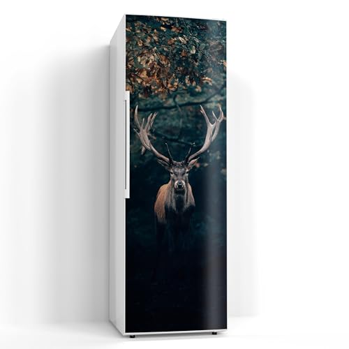 DEQORI Magnetfolie für Kühlschrank 60x180 cm | Motiv Elch im Teutoburger Wald | dekorative Magnetmatte Gefrierschrank Schutz | Magnet Deko-Folie selbstklebend, magnetisch & wasserabweisend von DEQORI