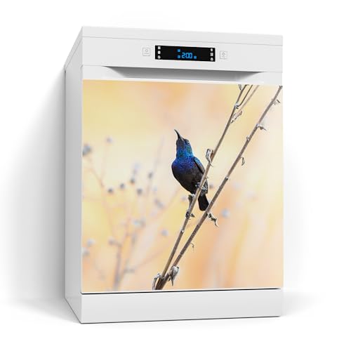 DEQORI Magnetfolie für Spülmaschine 60x60 cm | Motiv Blaues Funkeln | dekorative Magnetmatte Geschirrspüler Schutz | Magnet Deko-Folie selbstklebend, magnetisch & wasserabweisend von DEQORI