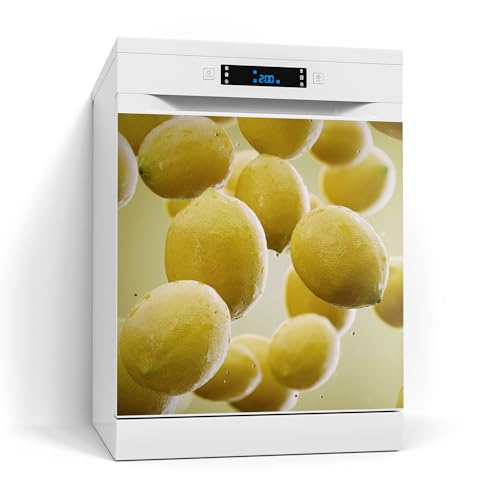 DEQORI Magnetfolie für Spülmaschine 60x60 cm | Motiv Frische Sommerträume | dekorative Magnetmatte Geschirrspüler Schutz | Magnet Deko-Folie selbstklebend, magnetisch & wasserabweisend DEQORI Magnetfolie für Spülmaschine 60x60 cm | Motiv Frische Sommerträume | dekorative Magnetmatte Geschirrspüler Schutz | Magnet Deko-Folie selbstklebend, magnetisch & wasserabweisend von DEQORI