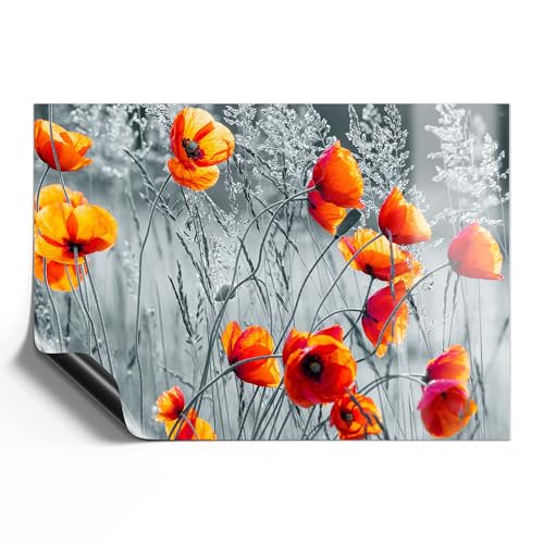 DEQORI Magnetfolie universal 59x42 cm (A2) | Motiv Rote Mohnblumen | Magnet Magnetmatte Kühlschrank | magnetisch beschreibbar Wochenplaner & Haushaltsplaner | Magnet-Schild Einkaufsliste von DEQORI