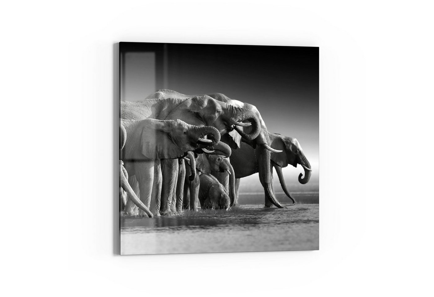 DEQORI Magnettafel 'Elefantenherde am Wasser', Whiteboard Pinnwand beschreibbar von DEQORI