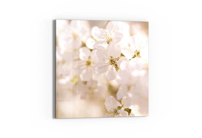 DEQORI Magnettafel 'Geöffnete Kirschblüten', Whiteboard Pinnwand beschreibbar von DEQORI