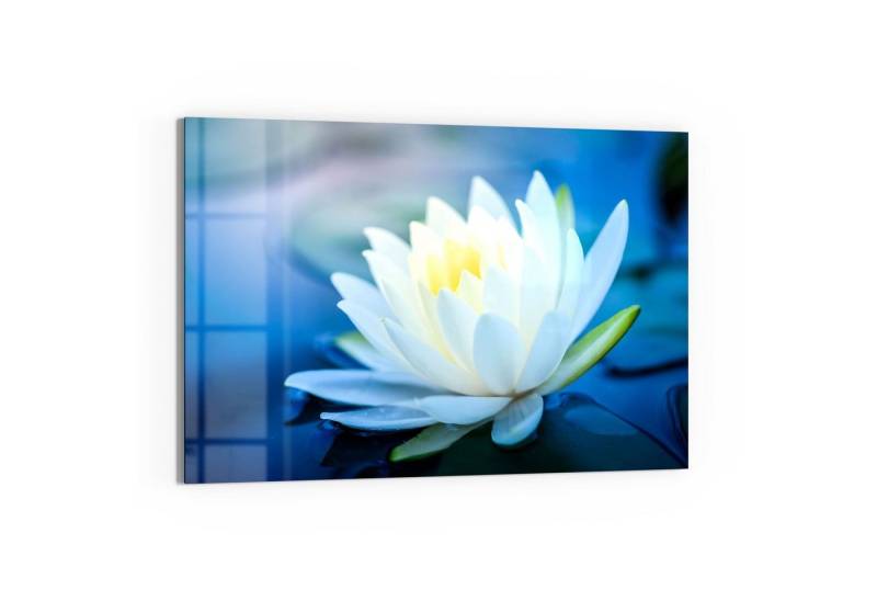 DEQORI Magnettafel 'Lotusblüte im Wasser', Whiteboard Pinnwand beschreibbar von DEQORI