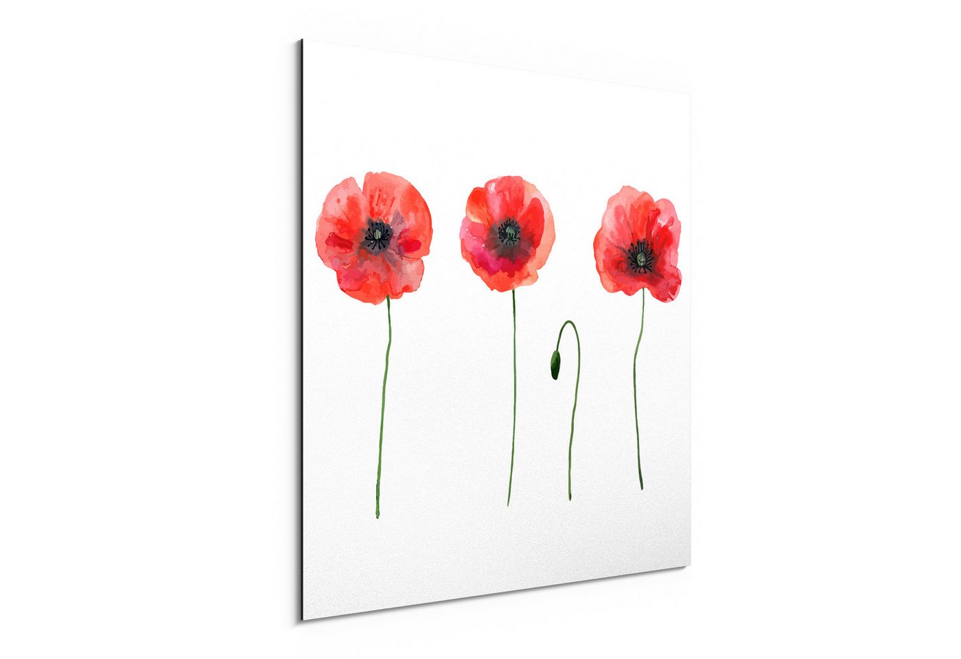 DEQORI Metallbild 'Blumen des Sommers', Alu Dibond Bild Aluminium Aluverbundplatte Design Wandbild Aludibond DEQORI Metallbild 'Blumen des Sommers', Alu Dibond Bild Aluminium Aluverbundplatte Design Wandbild Aludibond von DEQORI