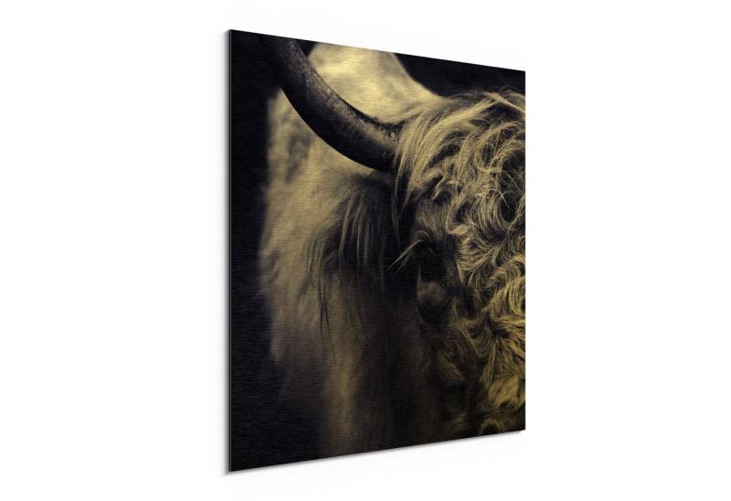 DEQORI Metallbild 'Das stille Rind', Alu Dibond Bild Aluminium Aluverbundplatte Design Wandbild Aludibond DEQORI Metallbild 'Das stille Rind', Alu Dibond Bild Aluminium Aluverbundplatte Design Wandbild Aludibond von DEQORI