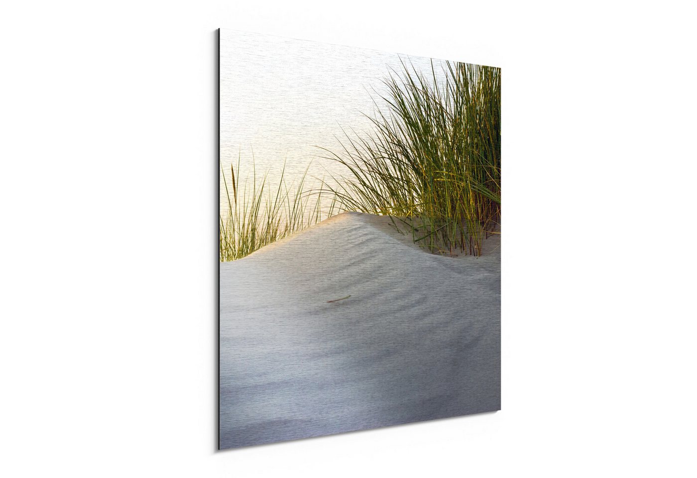 DEQORI Metallbild 'Düne mit Dünengras', Alu Dibond Bild Aluminium Aluverbundplatte Design Wandbild Aludibond DEQORI Metallbild 'Düne mit Dünengras', Alu Dibond Bild Aluminium Aluverbundplatte Design Wandbild Aludibond von DEQORI