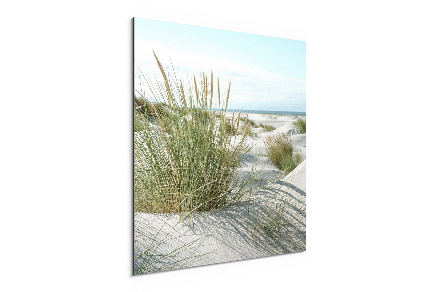 DEQORI Metallbild 'Dünen an Nordseeküste', Alu Dibond Bild Aluminium Aluverbundplatte Design Wandbild Aludibond DEQORI Metallbild 'Dünen an Nordseeküste', Alu Dibond Bild Aluminium Aluverbundplatte Design Wandbild Aludibond von DEQORI
