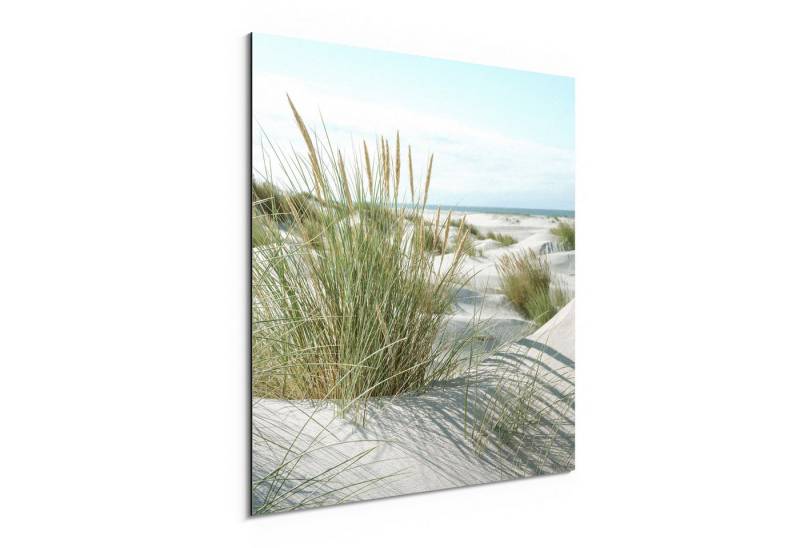 DEQORI Metallbild 'Dünen an Nordseeküste', Alu Dibond Bild Aluminium Aluverbundplatte Design Wandbild Aludibond von DEQORI