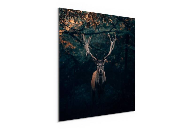 DEQORI Metallbild 'Elch im Teutoburger Wald', Alu Dibond Bild Aluminium Aluverbundplatte Design Wandbild Aludibond DEQORI Metallbild 'Elch im Teutoburger Wald', Alu Dibond Bild Aluminium Aluverbundplatte Design Wandbild Aludibond von DEQORI