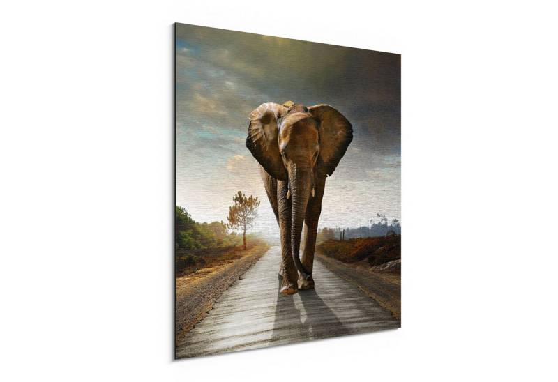 DEQORI Metallbild 'Elefant auf Asphalt', Alu Dibond Bild Aluminium Aluverbundplatte Design Wandbild Aludibond DEQORI Metallbild 'Elefant auf Asphalt', Alu Dibond Bild Aluminium Aluverbundplatte Design Wandbild Aludibond von DEQORI