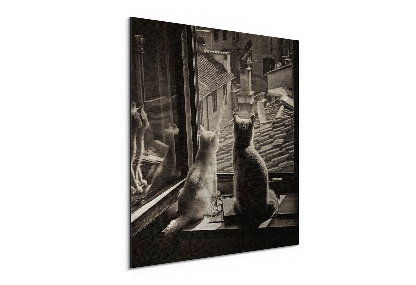 DEQORI Metallbild 'Katzen auf Fensterbrett', Alu Dibond Bild Aluminium Aluverbundplatte Design Wandbild Aludibond DEQORI Metallbild 'Katzen auf Fensterbrett', Alu Dibond Bild Aluminium Aluverbundplatte Design Wandbild Aludibond von DEQORI