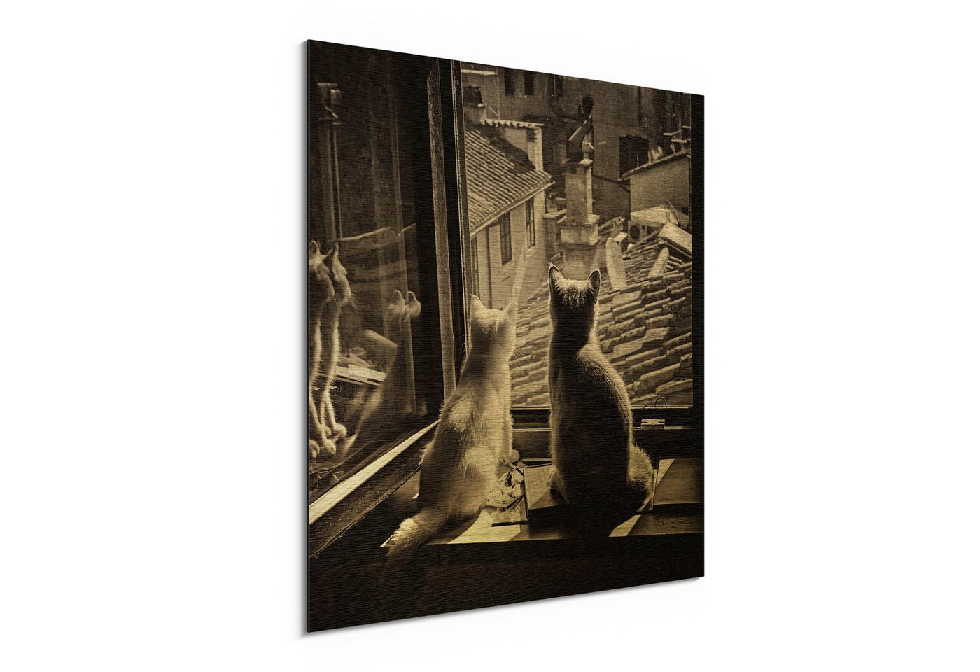 DEQORI Metallbild 'Katzen auf Fensterbrett', Alu Dibond Bild Aluminium Aluverbundplatte Design Wandbild Aludibond DEQORI Metallbild 'Katzen auf Fensterbrett', Alu Dibond Bild Aluminium Aluverbundplatte Design Wandbild Aludibond von DEQORI