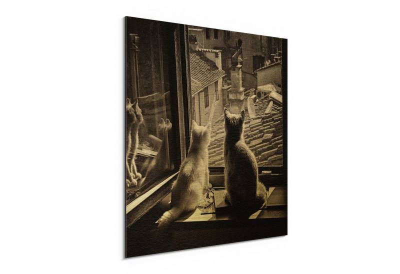 DEQORI Metallbild 'Katzen auf Fensterbrett', Alu Dibond Bild Aluminium Aluverbundplatte Design Wandbild Aludibond DEQORI Metallbild 'Katzen auf Fensterbrett', Alu Dibond Bild Aluminium Aluverbundplatte Design Wandbild Aludibond von DEQORI