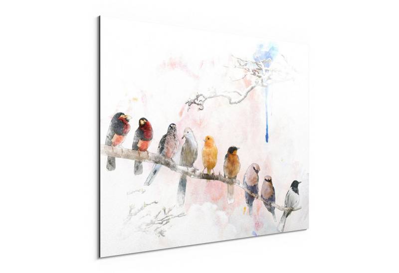 DEQORI Metallbild 'Vögel auf einem Ast', Alu Dibond Bild Aluminium Aluverbundplatte Design Wandbild Aludibond von DEQORI