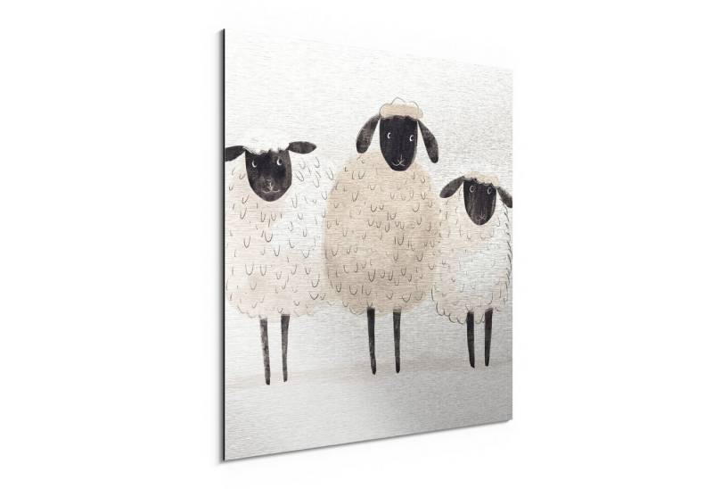 DEQORI Metallbild 'Wollige Freundschaft', Alu Dibond Bild Aluminium Aluverbundplatte Design Wandbild Aludibond DEQORI Metallbild 'Wollige Freundschaft', Alu Dibond Bild Aluminium Aluverbundplatte Design Wandbild Aludibond von DEQORI