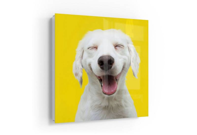 DEQORI Schlüsselkasten 'Lachender Hund', Glas Schlüsselbox modern magnetisch beschreibbar DEQORI Schlüsselkasten 'Lachender Hund', Glas Schlüsselbox modern magnetisch beschreibbar von DEQORI