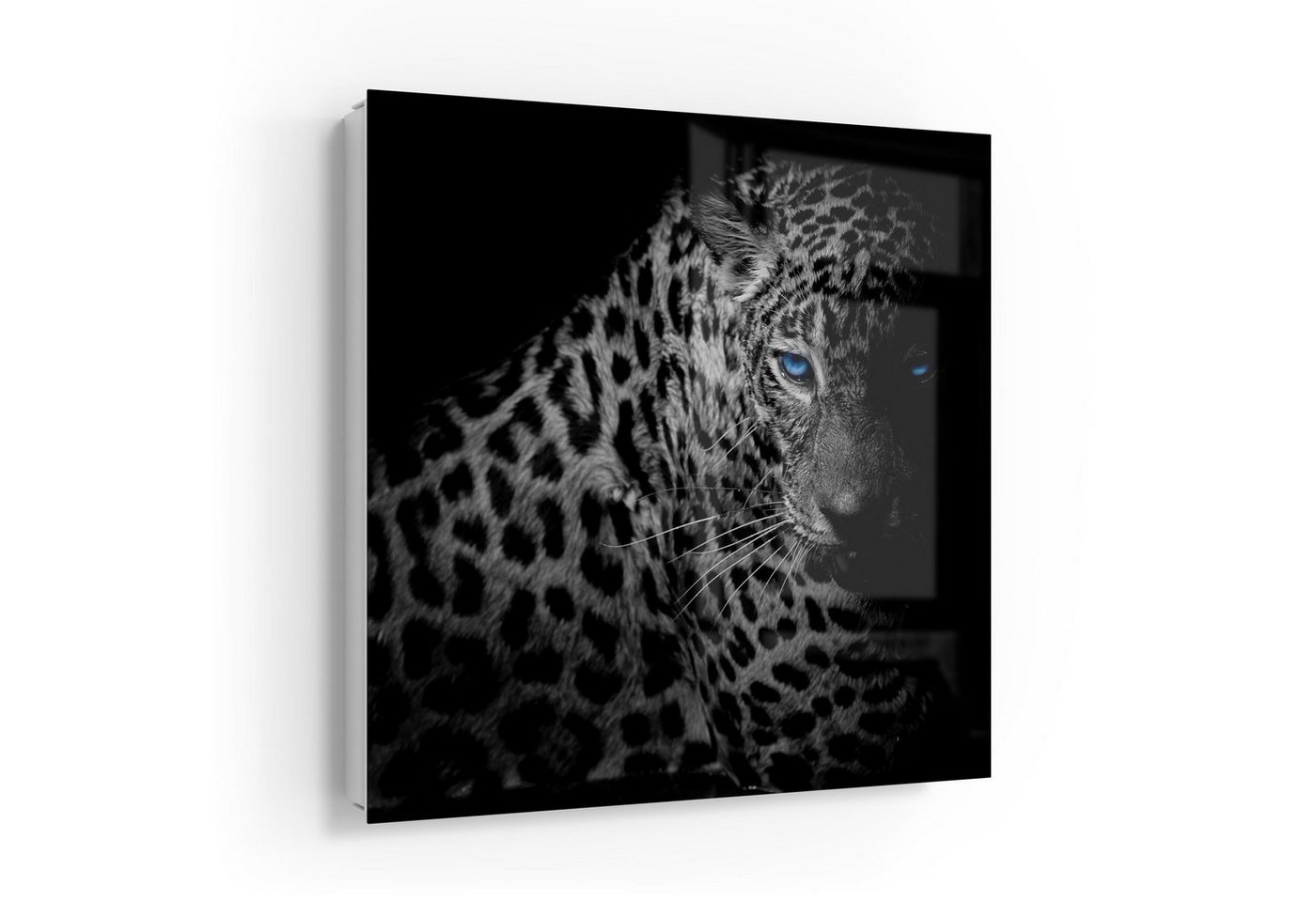 DEQORI Schlüsselkasten 'Leopard mit blauen Augen', Glas Schlüsselbox modern magnetisch beschreibbar von DEQORI