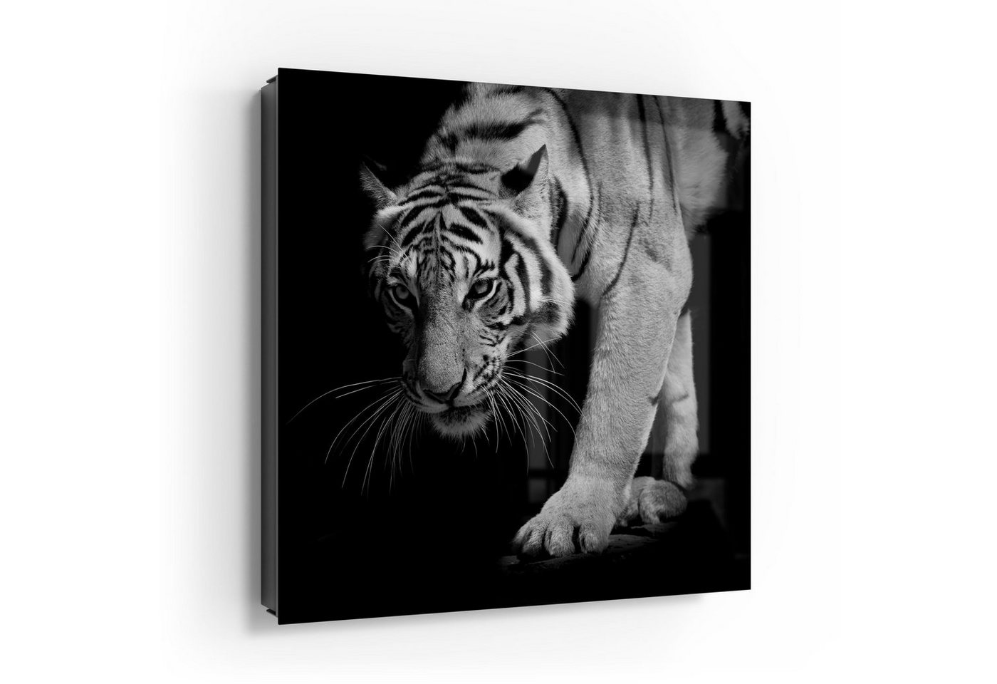 DEQORI Schlüsselkasten 'Pirschender Tiger', Glas Schlüsselbox modern magnetisch beschreibbar von DEQORI