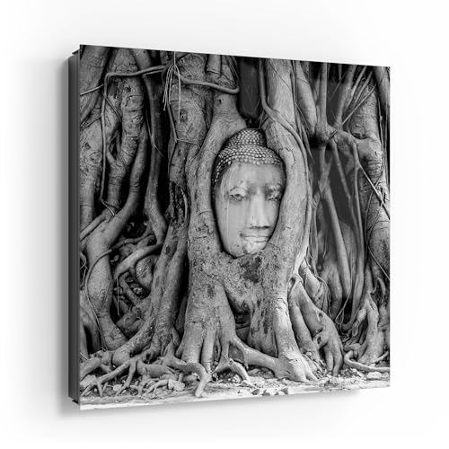 DEQORI Schlüsselkasten schwarz | 30x30 cm | Motiv Buddha in Wurzeln | Glas & Metall Schlüssel-Box | Schlüsselschrank mit 50 Haken + 2 Magnete | Moderne Box magnetisch & beschreibbar DEQORI Schlüsselkasten schwarz | 30x30 cm | Motiv Buddha in Wurzeln | Glas & Metall Schlüssel-Box | Schlüsselschrank mit 50 Haken + 2 Magnete | Moderne Box magnetisch & beschreibbar von DEQORI
