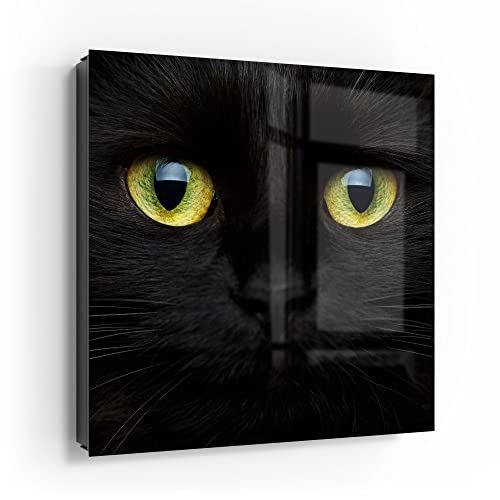 DEQORI Schlüsselkasten schwarz | 30x30 cm | Motiv Gesicht eines Kätzchens | Glas & Metall Schlüssel-Box | Schlüsselschrank mit 50 Haken + 2 Magnete | Moderne Box magnetisch & beschreibbar von DEQORI