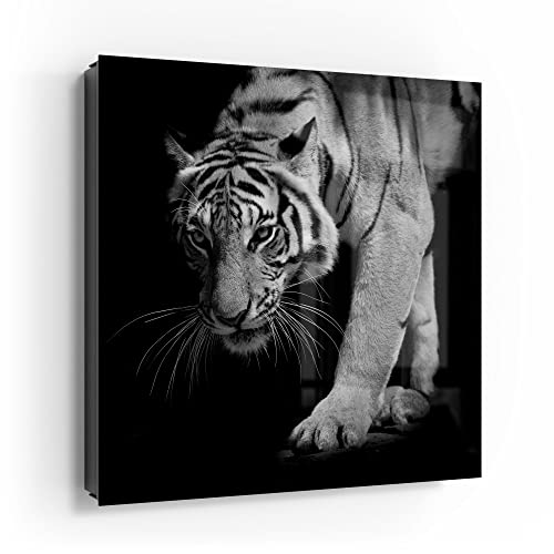 DEQORI Schlüsselkasten schwarz | 30x30 cm | Motiv Pirschender Tiger | Glas & Metall Schlüssel-Box | Schlüsselschrank mit 50 Haken + 2 Magnete | Moderne Box magnetisch & beschreibbar von DEQORI