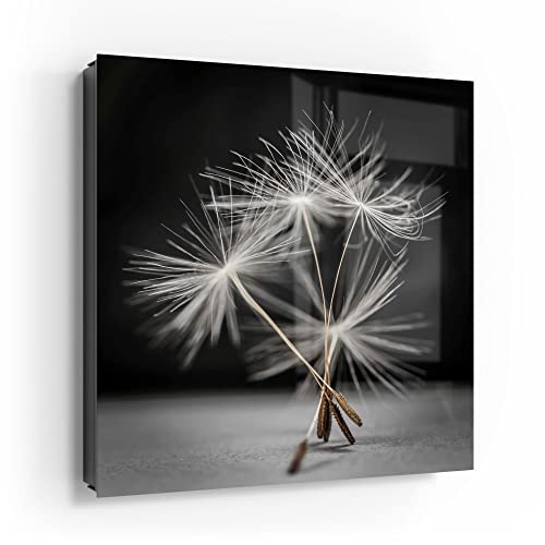 DEQORI Schlüsselkasten schwarz | 30x30 cm | Motiv Samen der Pusteblume | Glas & Metall Schlüssel-Box | Schlüsselschrank mit 50 Haken + 2 Magnete | Moderne Box magnetisch & beschreibbar von DEQORI