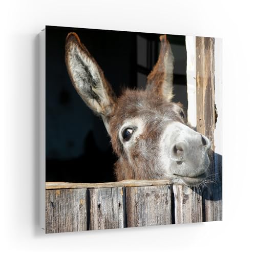 DEQORI Schlüsselkasten weiß | 30x30 cm | Motiv Ländlicher Charme | Glas & Metall Schlüssel-Box | Schlüsselschrank mit 50 Haken + 2 Magnete | Moderne Design Box magnetisch & beschreibbar von DEQORI