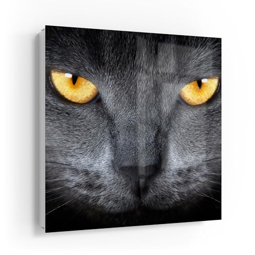 DEQORI Schlüsselkasten weiß | 30x30 cm | Motiv Magische Katzenaugen | Glas & Metall Schlüssel-Box | Schlüsselschrank mit 50 Haken + 2 Magnete | Moderne Design Box magnetisch & beschreibbar von DEQORI