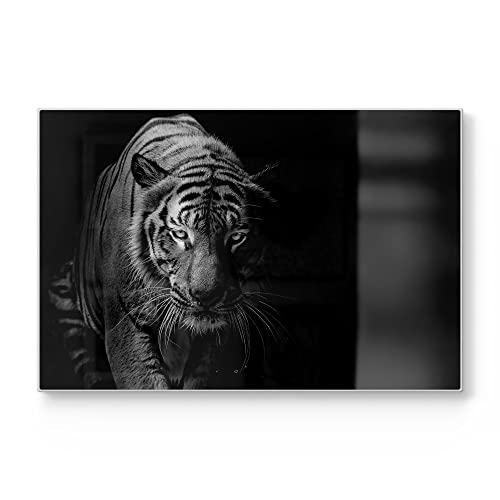 DEQORI Schneidebrett aus Glas | groß 30x20 cm | Motiv "Tiger auf der Pirsch" | Design Schneideplatte für Küche | Frühstücksbrett antibakteriell & rutschfest | Glasplatte & Servierplatte von DEQORI