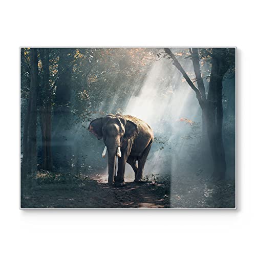 DEQORI Schneidebrett aus Glas | groß 40x30 cm | Motiv "Elefant im Wald" | Design Schneideplatte für Küche | Frühstücksbrett antibakteriell & rutschfest | Glasplatte & Servierplatte von DEQORI