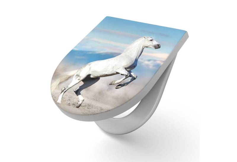 DEQORI WC-Sitz 'Hoch auf den Hufen', WC Toilettensitz bedruckt Klobrille Toilettendeckel Motiv WC-Brille DEQORI WC-Sitz 'Hoch auf den Hufen', WC Toilettensitz bedruckt Klobrille Toilettendeckel Motiv WC-Brille von DEQORI