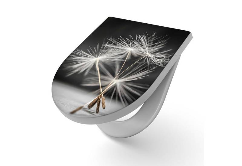 DEQORI WC-Sitz 'Samen der Pusteblume', WC Toilettensitz bedruckt Klobrille Toilettendeckel Motiv WC-Brille DEQORI WC-Sitz 'Samen der Pusteblume', WC Toilettensitz bedruckt Klobrille Toilettendeckel Motiv WC-Brille von DEQORI