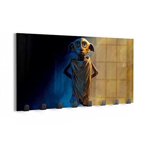 DEQORI Wandgarderobe Glas & Metall | Motiv Dobby der Hauself (HP) | 60x30 cm | Design Haken-Leiste modern | Garderoben-Paneel für Flur, Wohnzimmer & Schlafzimmer | magnetisch & beschreibbar von DEQORI