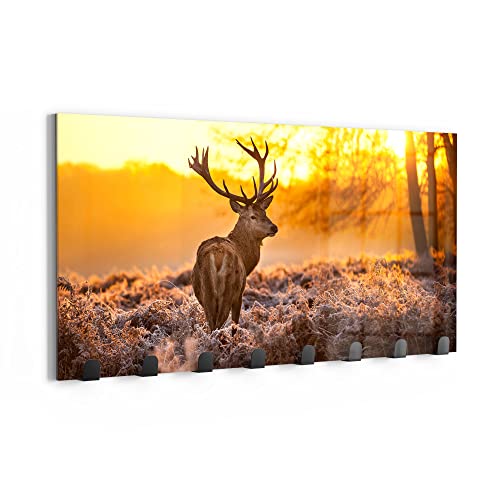 DEQORI Wandgarderobe Glas & Metall | Motiv Hirsch am Wintermorgen | 60x30 cm | Design Haken-Leiste modern | Garderoben-Paneel für Flur, Wohnzimmer & Schlafzimmer | magnetisch & beschreibbar von DEQORI