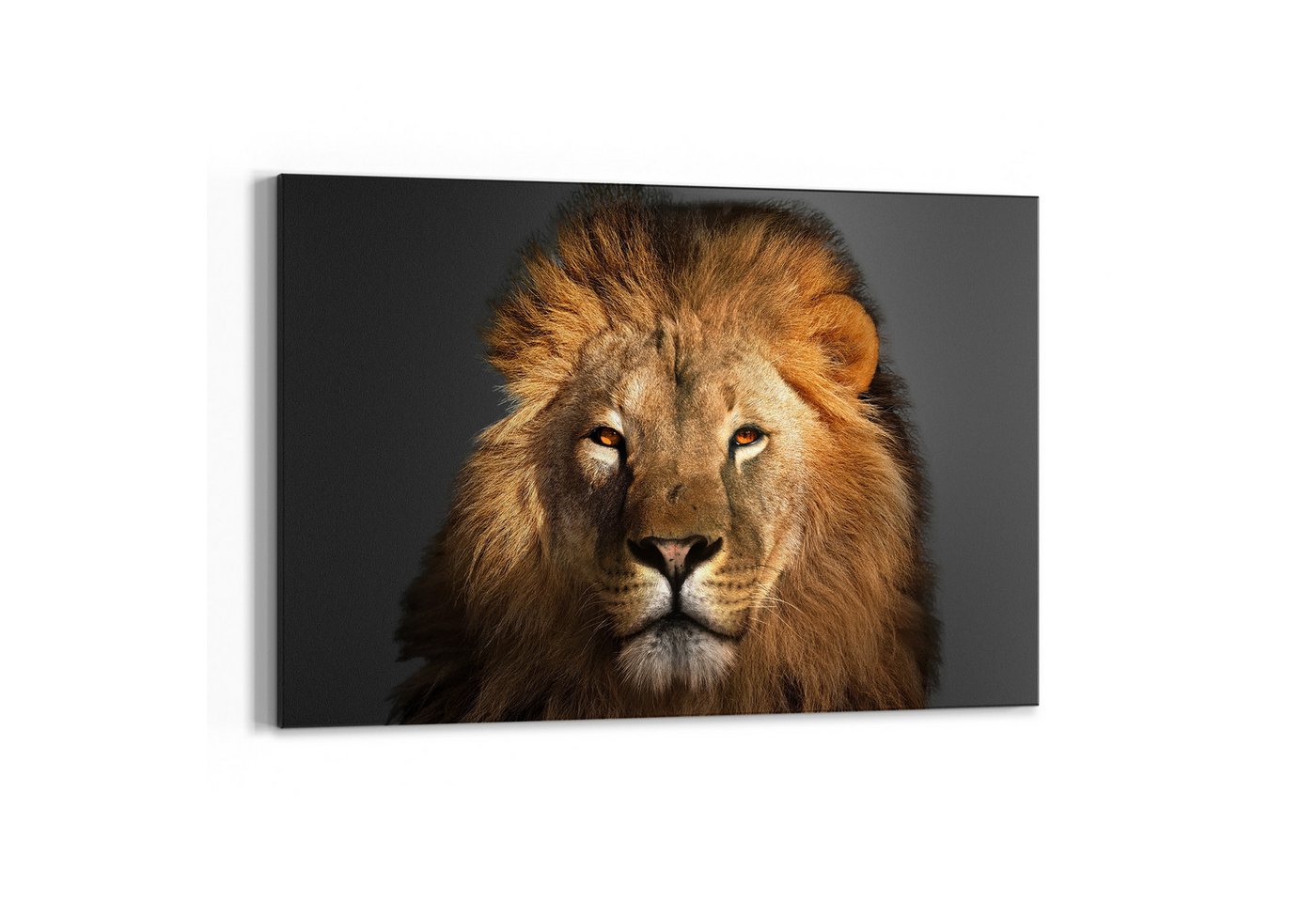 DEQORI Wandtafel 'Majestätischer Löwe', (1-tlg), Metall Kreidetafel bedruckt Schreibtafel modern Schiefertafel Tafel von DEQORI