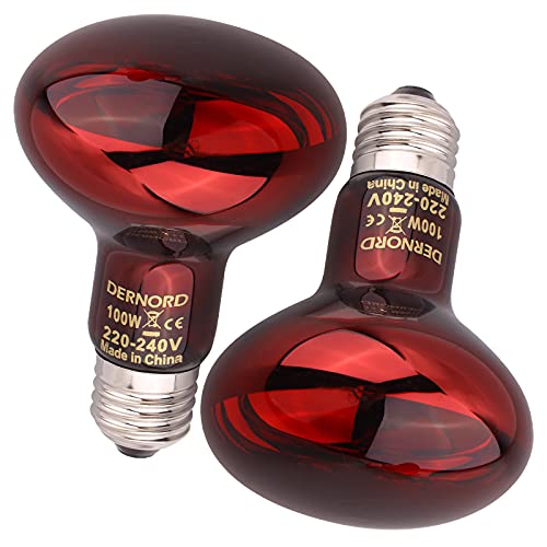 DERNORD Reptilien Rotlichtlampe Birne - 100 Watt R80 Infrarotlampe Rotlichtlampe Wärmelampe Tiere für Urzeitkrebse Schildkröten Vogelspinne Vivarium 2 Pack DERNORD Reptilien Rotlichtlampe Birne - 100 Watt R80 Infrarotlampe Rotlichtlampe Wärmelampe Tiere für Urzeitkrebse Schildkröten Vogelspinne Vivarium 2 Pack von DERNORD