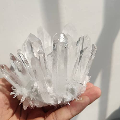 Natürlicher weißer CrystalCluster-Dekorationssteinsäulenpunkt, 800–1000 g DERYLFGND (Size : 800-1000g) von DERYLFGND