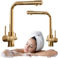 Küchenspüle Wasserhahn S-2103G Gold Küchenspüle Wasserhahn S-2103G Gold von DESCONOCIDO