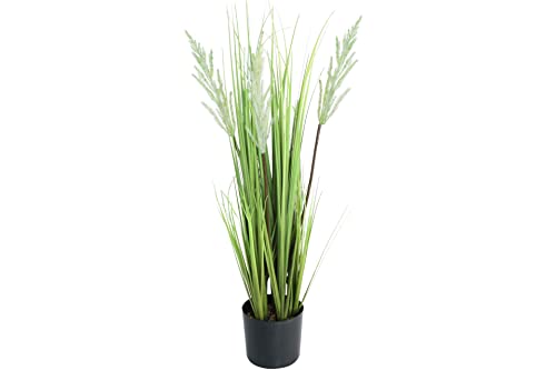 DESIGN DECORATION Deko Pflanze Kunstpflanze Pampasgras mit Übertopf 75 cm Höhe von DESIGN decoration