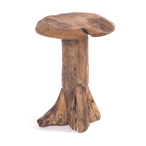 DESIGN DELIGHTS Massiver Teak HOCKER Darwin | 47x30 cm, Wurzelholz | Massivhocker, Wurzel Pilzhocker, Teak Skulptur, Wurzelhocker, Treibholz Pilz Figur, Pflanzenhocker von DESIGN DELIGHTS