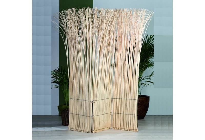 DESIGN DELIGHTS Paravent PARAVENT NATURE, 160X120CM(LXB), geblichen, heller Raumtrenner von DESIGN DELIGHTS