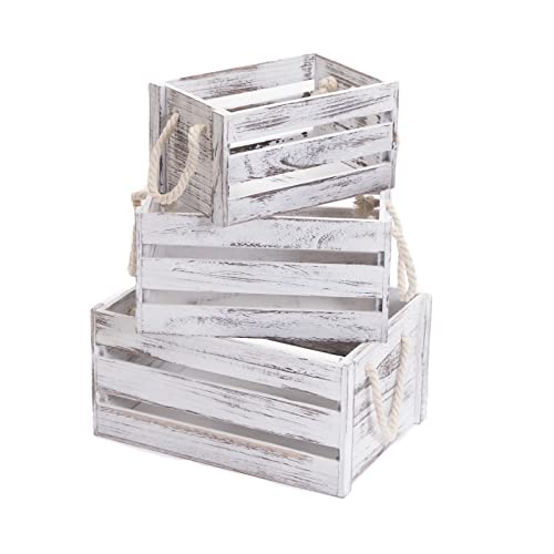 DESIGN DELIGHTS Shabby HOLZKISTEN Set Country | 3-teilig, 36x31x26 cm, mit Henkel | Landhaus Aufbewahrungskisten, Weinkisten, Dekokisten, Bücherkisten, Vorratskisten DESIGN DELIGHTS Shabby HOLZKISTEN Set Country | 3-teilig, 36x31x26 cm, mit Henkel | Landhaus Aufbewahrungskisten, Weinkisten, Dekokisten, Bücherkisten, Vorratskisten von DESIGN DELIGHTS